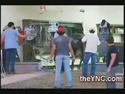 What Happens when a BULL gets Stuck in a Clothing Store?