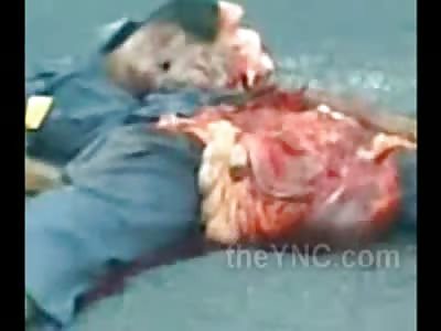 Man in a Pile of his Own Blood and Guts is Decapitated and left a Complete Mess on the Road