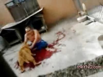 FULL RAW Video: Shocking Video shows a Pitbull Tear a Mans Arms to Shreds