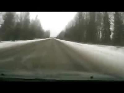 Suicidal Moose Runs in front of Shocked Drivers