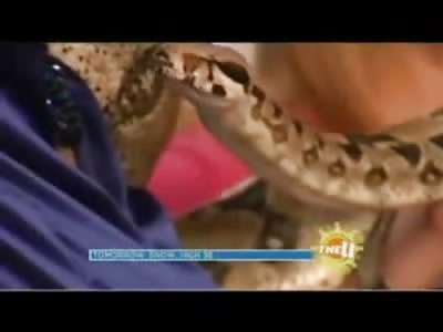 Boa Constrictor finds its Way inside Womans Shirt during Live Newscast (Watch Full Video)