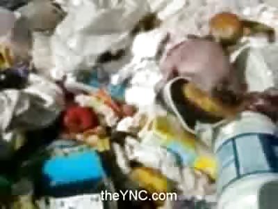 Headless Baby found inside the Apartment's Dumpster