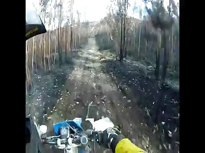 Lost control of his motorcycle and crashed head first into tree