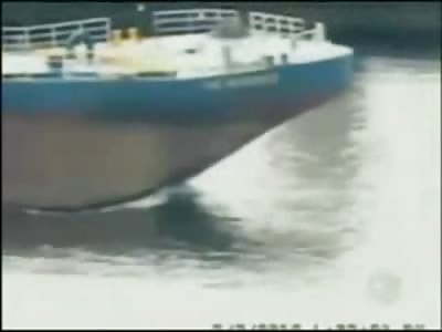 Shocking Footage of Cruise Ship Fatal Crushing a little Duckboat