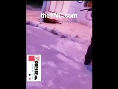 Man Executes Injured Yelping Dog in the Street