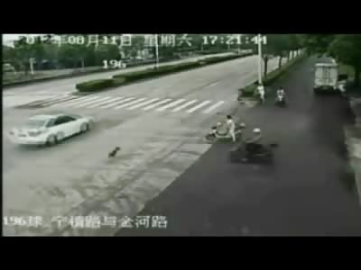 Amazing Dog Gets Hit by Car Lives...But Cause Massive Accident with Explosion