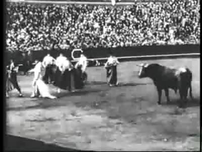 Bulls Killing Horses for Fun in Vintage Gore Clip 