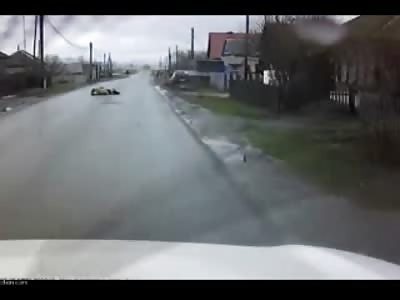 Suicidal Cow Crosses Street and Gets Dieded