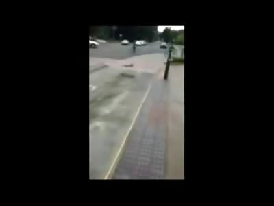 Saddest video ever on the YNC, Mother Duckling Run in Front of her Family trying to Walk them across the Street