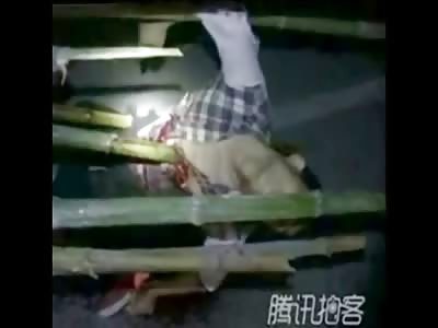 Motorcyclist was Wearing Sunglasses in the Dark Skewered through the Chest by Bamboo Stalk