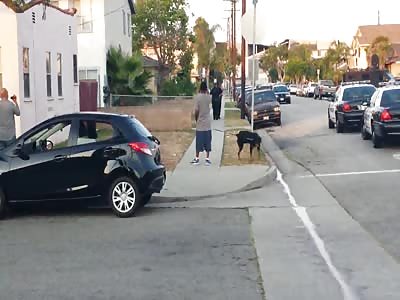 SOB Cops Shoot a Dog of a Man who was Recording a Raid