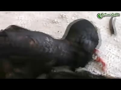 Men tied up at the Hands were Burned to a Crisp by Assad Forces