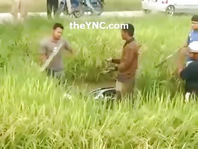 Thief is chased Down in a Field by Angry Mob 