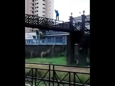 Moron Trying to Walk the Railings on a Bridge Slips and Falls to his Death