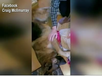 Very Sad Video of Dog Owner Consoling her Dying Dog after it was Beaten by a Baseball Bat..Dog Died later