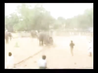 Elephant goes Berserk using Man as his own Stuffed Animal Killing him in the Process 