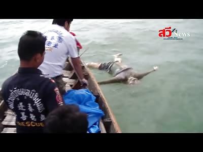 HQ Footage of Rotten Floating Body pulled from the Water in Paradise