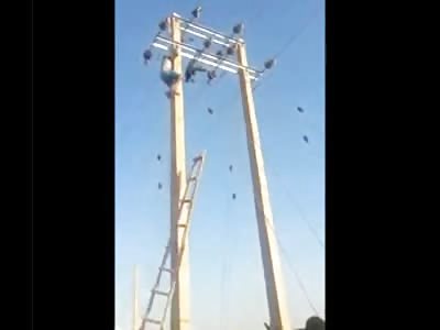 Amazing Man Climbs up Telephone Pole Like Spider-man to Save Little Boy ... But, Unlike Spider-man he Fails