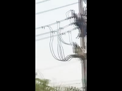 Just a Crane taking a Dead Man from the Power Lines