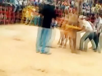 Man Lasts all of 1 Second on his First Bull Ride...gets a Violent Knockout Shot to the Head