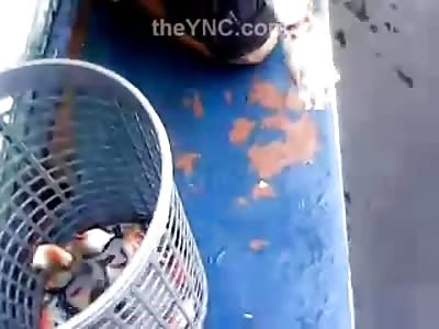 Mans Very Unique Way of Catching Deadly Piranhas is Pretty Interesting