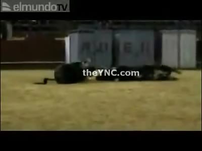 Bull Kill Bull: Violent Collision Breaks the Neck then Gets More Goring from the Attacker