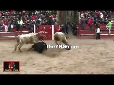 Awesome Video of Man who Doesnt Even See the Bull Coming His Way (Watch Slow Motion) 