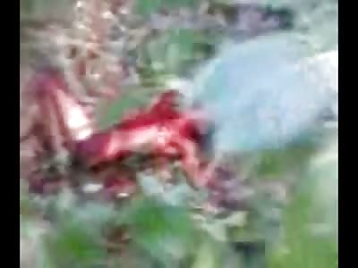 Ending of a Bloody Brutal Murder in the Forest..Man is Stabbed in the Face