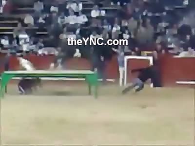 Bull Gives Dude Lift Off and Ends His Life