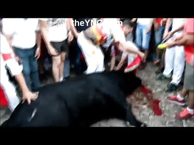 Man Kills a Bull in the Street