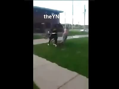 Savage Black Kids Jump and Beat White Kid Just Trying to Get Home