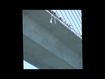 Another Very Clear Angle of the Incredible Failed Rescue of a Suicide Jumper