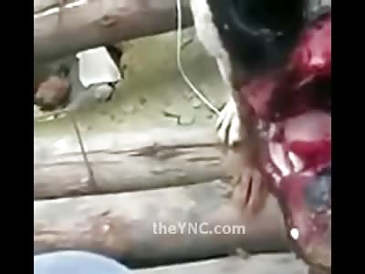 Shock Video shows a Poor Dog's Face Sliced in Half from a Machete (Video is Very Graphic and Sad) 