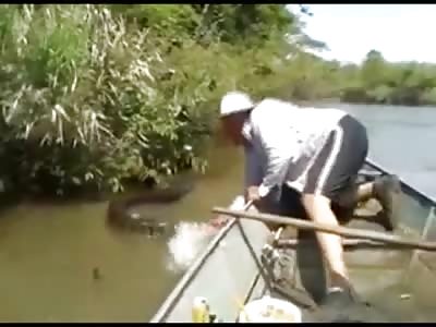 Almost Unbelievable Video shows a Giant Snake with Food in its Stomach being Harassed by Morons in a Boat (Brazil)