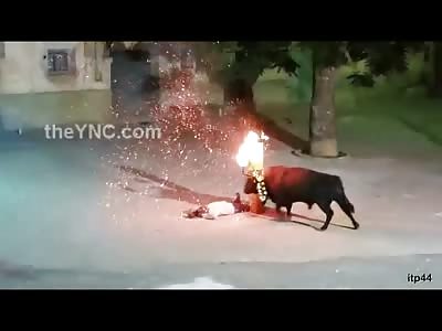 Pissed off Bull with its Horns on Fire Wrecks Some Guy