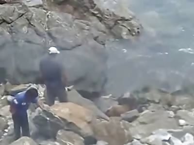 Thugs Attack Defenceless Sea Lion with Rocks