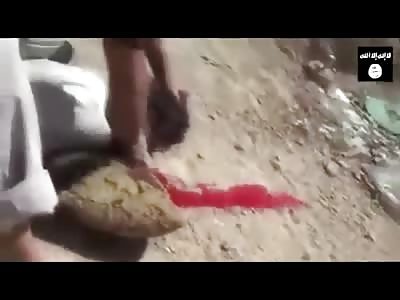 Shocking Video Shows Very Bloody Beheading