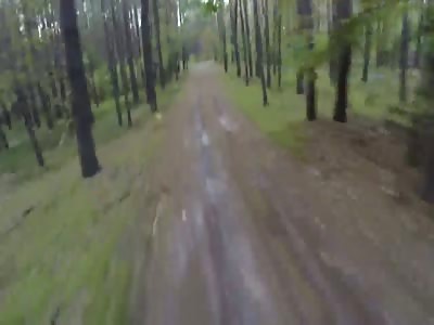 Man Tries Running Away While Filming a Bear with a GoPro.. FAILS