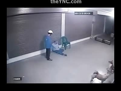 Evil Kids Kick a Homeless Man in the Face and then Rob Him....