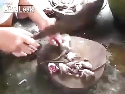 Woman preparing rat stew to sell Chopping off the feet/head as her husband captures more rats.