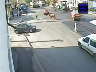  Bull Attacks Traffic Police in the Middle of Street in Romania 
