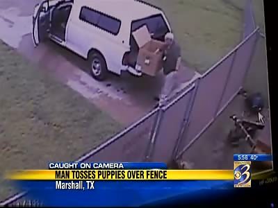 Complete Loser is Caught on Camera Throwing Puppies over a Fence at Animal Shelter 