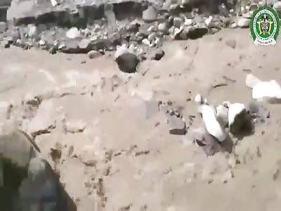 Dog saved from fast river in Colombia.
