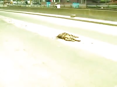 In Nigeria Dead Rotting Bodies on the Highway is No Big Deal