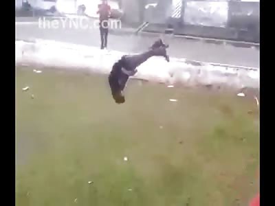 Moronic Kid Breaks his Neck Trying to Show off and Do a Front Flip Jump Thing