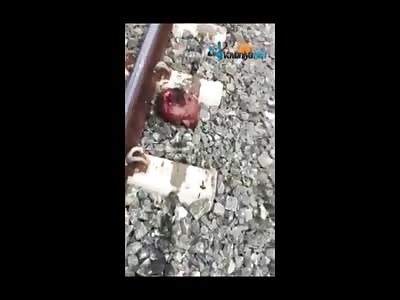 Horrific Train Aftermath...Man Decapitated and Body Mutilated