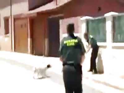 A policeman struck a shot a pitbull puppy