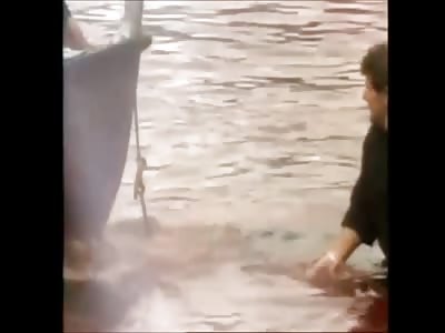 Denmark Dolphin/Whale Massacre, Its a Blood Bath!