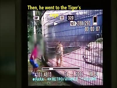BRUTAL: Tiger DESTROYS Kid's Arm After He Put It Inside of the Cage (Aftermath Pics Included)