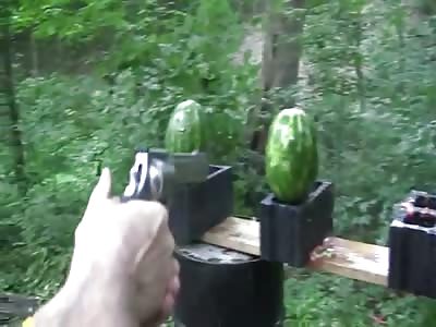 500 Magnum vs watermelons